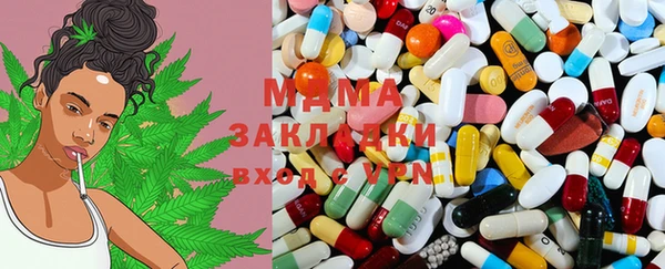 прущие грибы Абинск