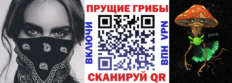 сколько стоит  Чегем  Галлюциногенные грибы Magic Shrooms 