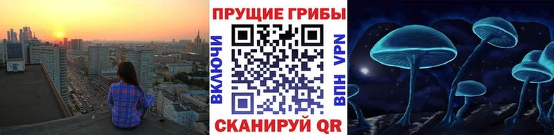 Псилоцибиновые грибы Magic Shrooms Чегем